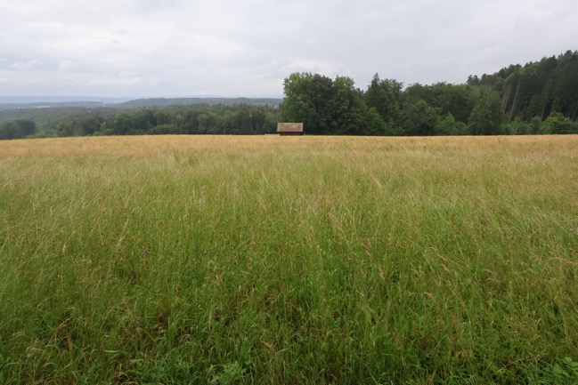 Scheune im Feld
